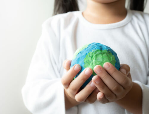 Earth Day Goals – 5 Simple Ways to Conserve Energy and Be More Sustainable at Home